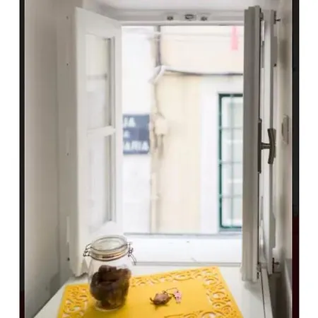 Apartman Cozy Studio, Typical